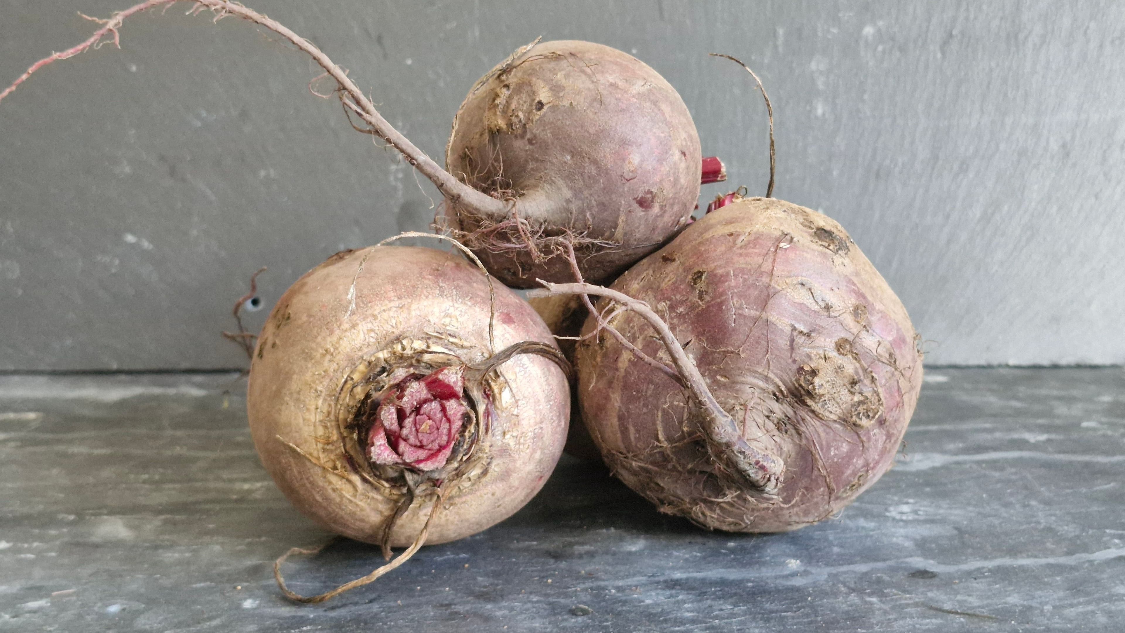 Beetroot 